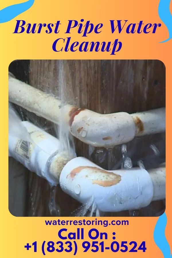 Burst Pipe Water Cleanup in Lewiston, ME