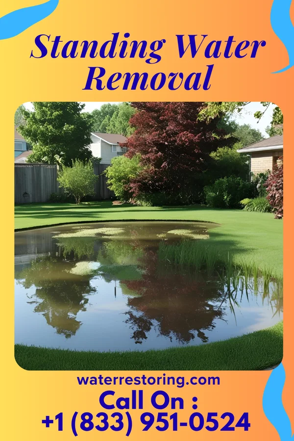 Standing Water Removal in Lewiston, ME